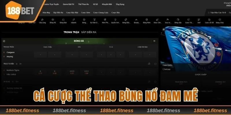 Cá cược thể thao chất lượng, nơi người chơi được thỏa sức đam mê