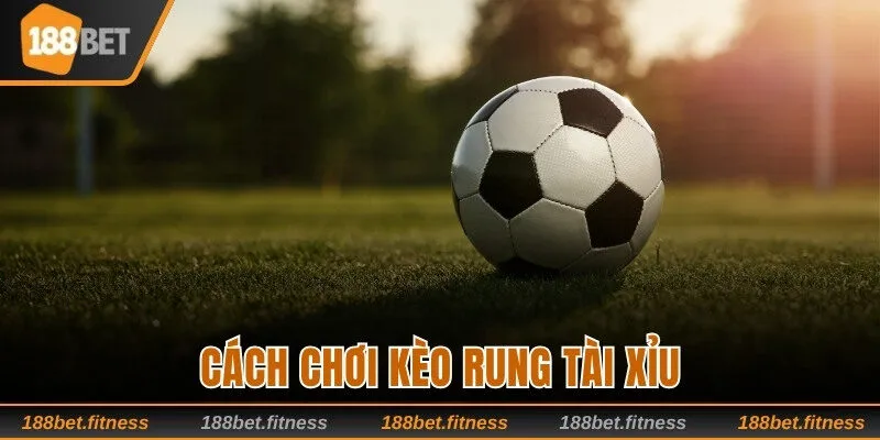 Cách chơi kèo rung tài xỉu