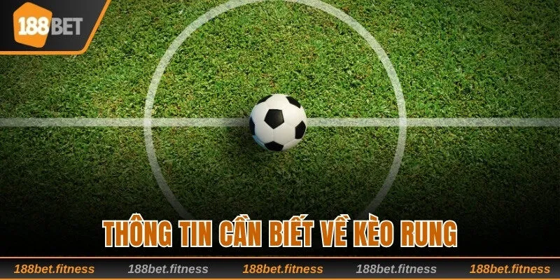Thông tin cần biết về kèo rung