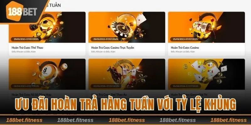 Ưu đãi hoàn trả hàng tuần với tỷ lệ cao